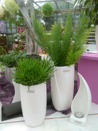 BlumenARTen - Tiziano Vasen hoch